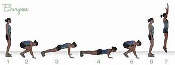 Image result for Burpee Standard Chart