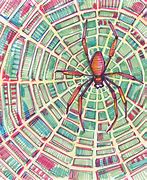Image result for Redback Spider Drawing