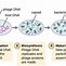 Image result for Virus-Infected Cells