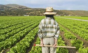 Image result for agricultod