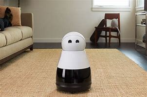 Image result for Home Helper Robot