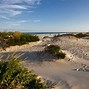 Image result for Assateague Camp