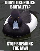 Image result for Angry Duck Meme