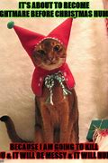 Image result for Angry Cat Christmas Meme