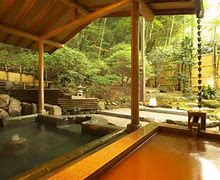 Image result for ryokans osaka with onsen