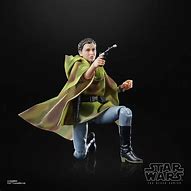 Image result for Black Series Wicket