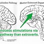 Image result for Anxiety Disorder Brain Scan