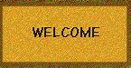 Image result for Welcome to the Internet Animated