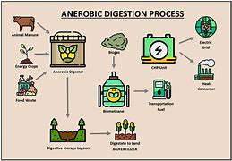 Image result for Anaerobic Digestion System