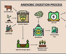 Image result for Anaerobic Digestion Process