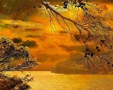 Image result for Rose Gold Nature Sun Background