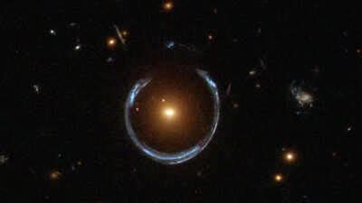 Image result for Feature Writing Article Example