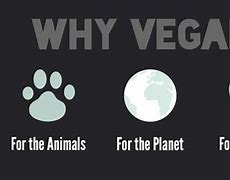 Image result for Why You Should Go Vegan
