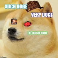 Image result for Doge Dog Meme