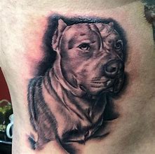 Image result for Pit Bull Tattoos