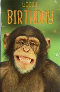 Image result for Happy Birthday Grappig