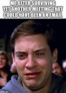 Image result for Meeting Email Meme