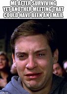 Image result for What Email Meme