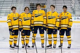 Image result for Minors Indoor Hockey League Michigan