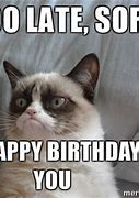Image result for Belated Birthday Cat Meme