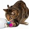 Image result for Best Cat Toys