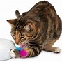 Image result for Super Cool Cat Toys