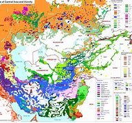 Image result for Central Asia Language Map