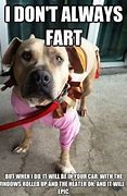 Image result for Show Me a Picture of a Funny Meme