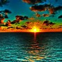 Image result for Office Computer Wallpaper Marine Life