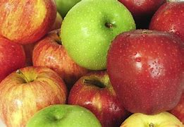 Image result for Apples Are Fruits