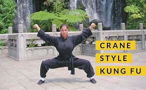 Image result for Crane Style of Kung Fu Traits