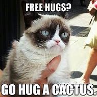 Image result for Grumpy Cat Love You Meme