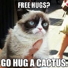 Image result for Grumpy Cat Yay Meme