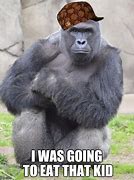 Image result for Harambe Kid Meme