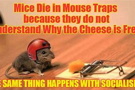 Image result for Dead Mouse Meme