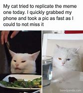 Image result for Cute Cat Owner Memes