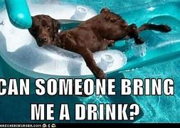 Image result for Lonely Meme in Pool