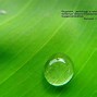 Image result for Background Christian Desktop Bible Verses