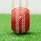 Image result for BackYard Cricket Pitch