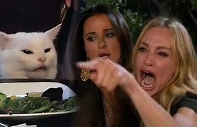 Image result for Woman Cat Meme Generator