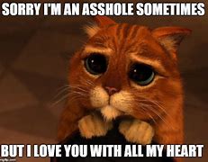 Image result for Sorry Meme Puss in Boots