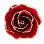 Image result for 24K Rose with Light and Victoria