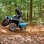 Image result for Yamaha Grizzly 660