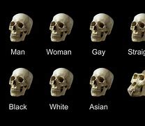 Image result for Skull Shape Meme