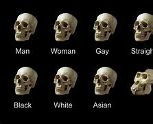 Image result for Golden Skull Meme