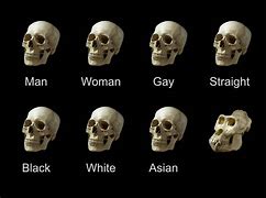 Image result for Skull Meme