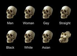 Image result for Skull Break Meme