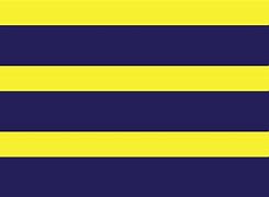Image result for Blue and Yellow Horizontal Stripes