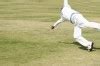 Image result for Throwing Cricket Ball