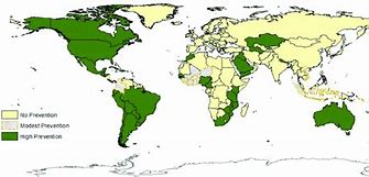 Image result for Anencephaly Folic Acid